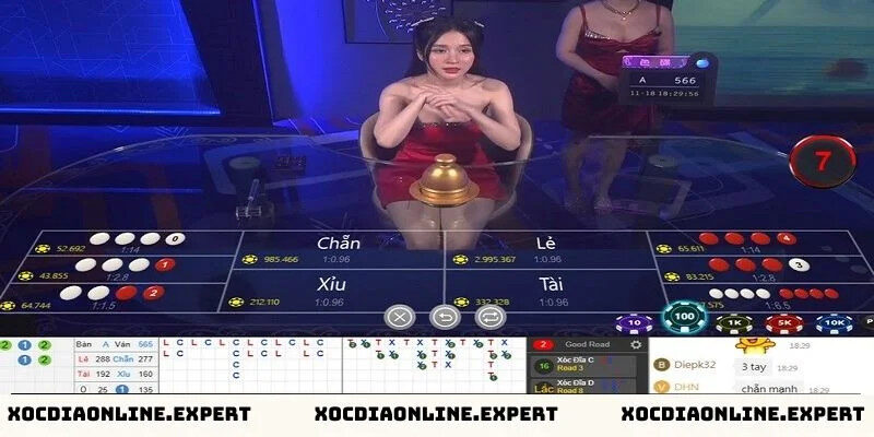 Alt text: Hình ảnh minh họa các lưu ý khi áp dụng thuật toán xóc đĩa 3D, bao gồm quản lý vốn, kiểm soát cảm xúc và phân tích kỹ lưỡng.