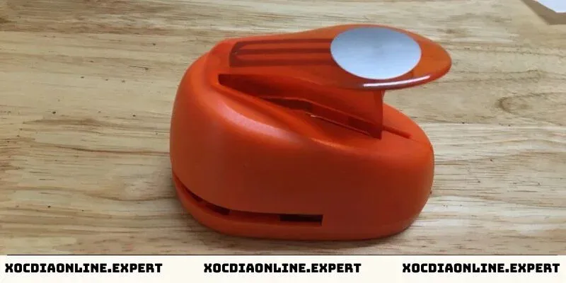 Bấm vị xóc đĩa là gì?