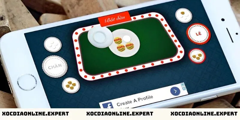 Bí quyết chơi xóc đĩa online thắng lớn - Giới thiệu về trò chơi