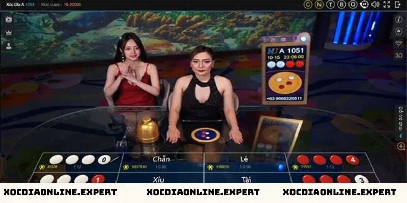Cách đặt cược tại sảnh xóc đĩa