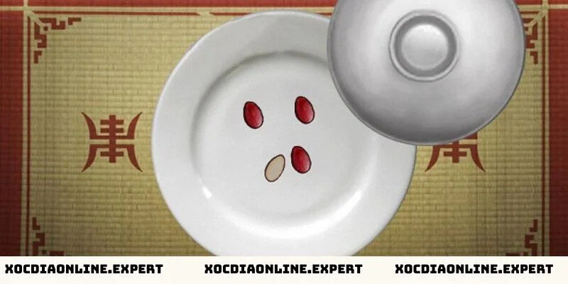 Cách dự đoán hình vị xóc đĩa chuẩn nhất