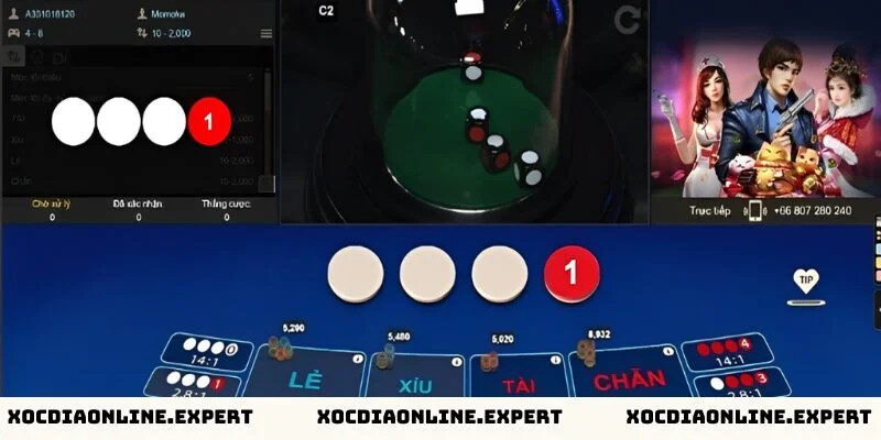 Cách xử lý khi bị lừa đảo xóc đĩa online – Biện pháp phòng ngừa