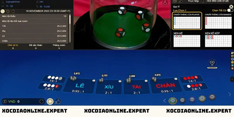 Cách xử lý khi bị lừa đảo xóc đĩa online – Các bước xử lý