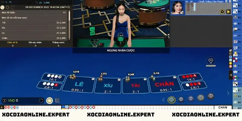 Cách xử lý khi bị lừa đảo xóc đĩa online – Tình trạng lừa đảo