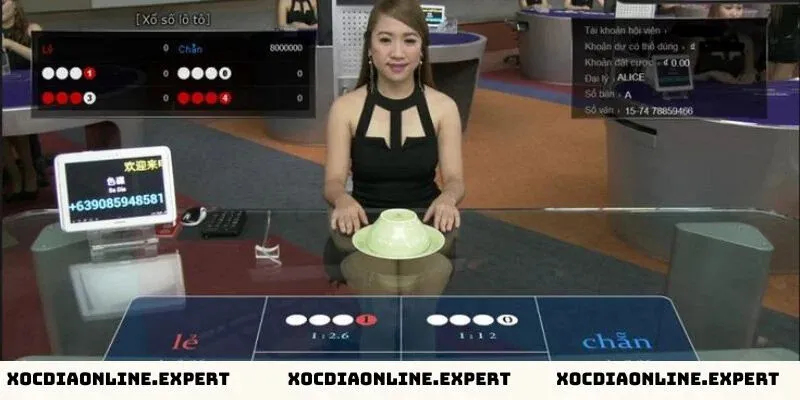 Giới thiệu về Dealer trong game xóc đĩa