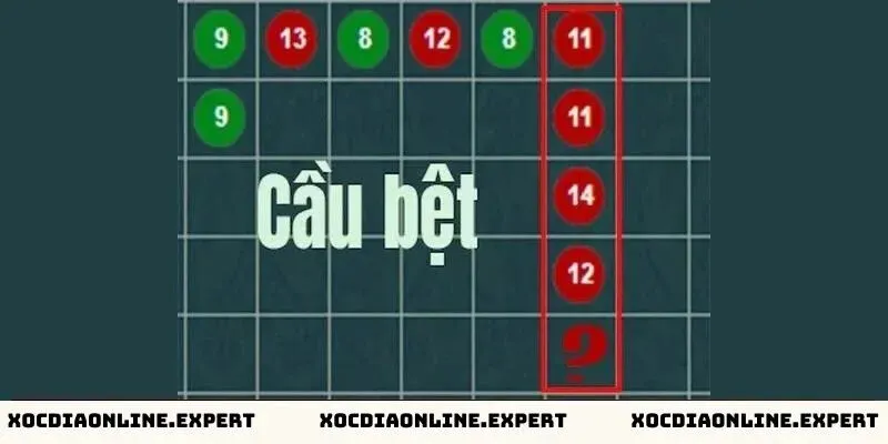 Nhận biết cầu bệt trong xóc đĩa