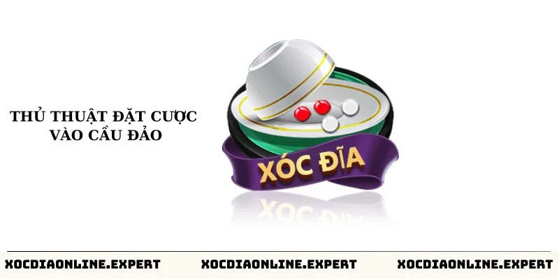 Thủ thuật đặt cược vào cầu đảo - Chiến thuật đặt cược theo dõi cầu đảo