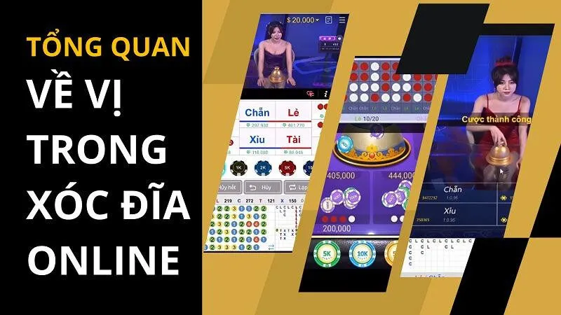 Tổng quan về vị trong xóc đĩa online
